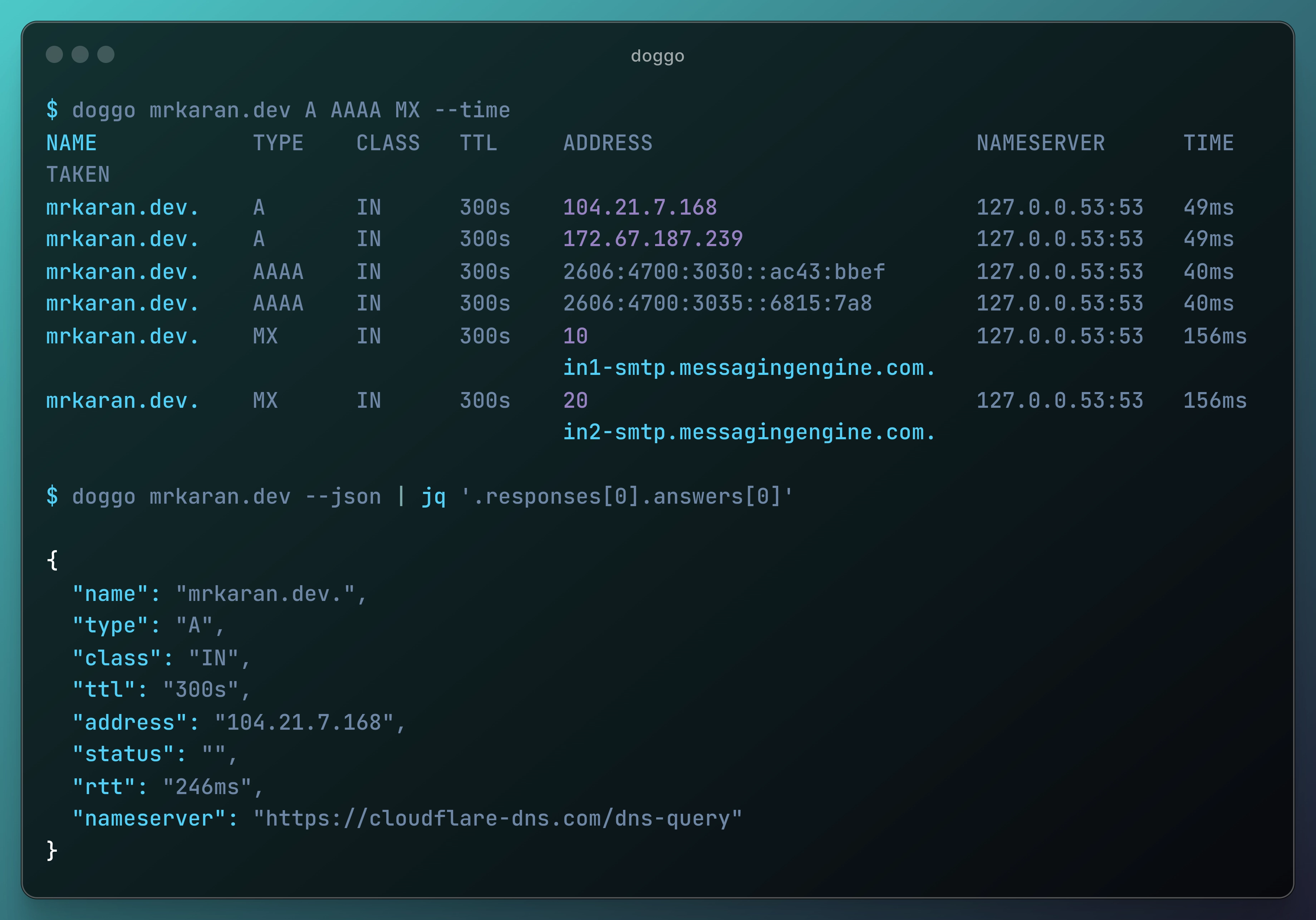 doggo - Command-line DNS client for humans